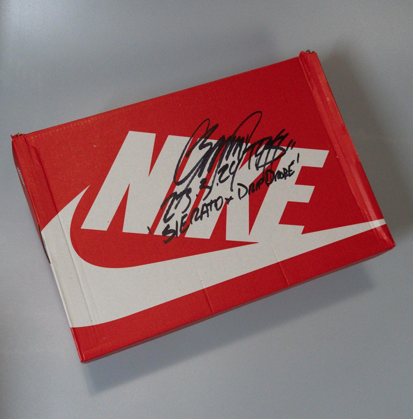 Nike Air Max 90 — Rose Print